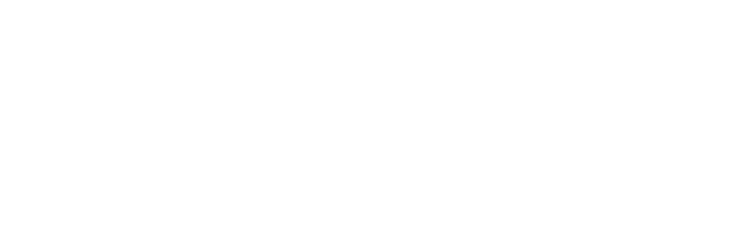 The Pregnancy Center